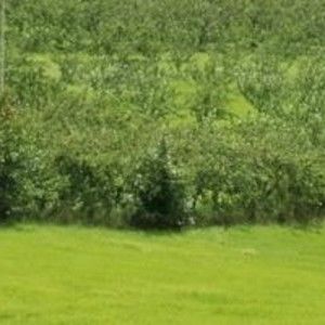 Meet your Posher, Qkud